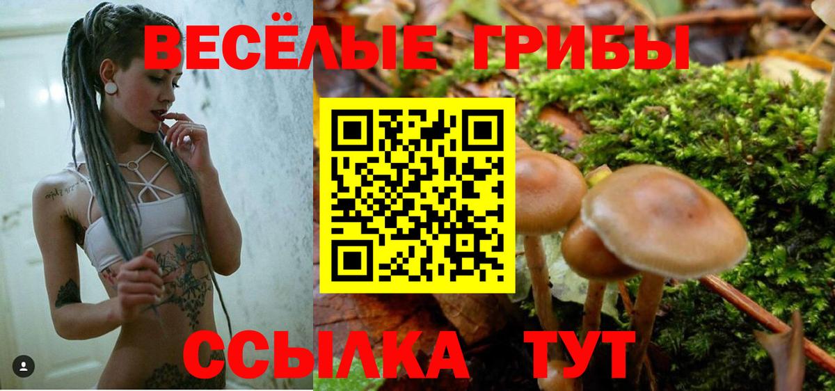 Галлюциногенные грибы Psilocybine cubensis  Вход с VPN  Галлюциногенные грибы мухоморы  Евпатория 